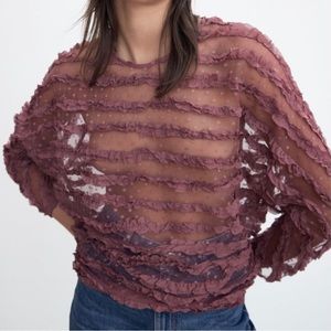 Zara Ruffled Tulle Dusty Pink Sheer Long Sleeve Top Size XS